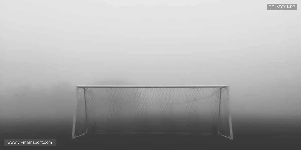 📱零时差直击赛场，直播让你与热爱同频共振！